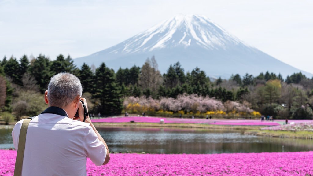 Photographer taking a photo of Mount Fuji during spring with cherry blossoms in Japan