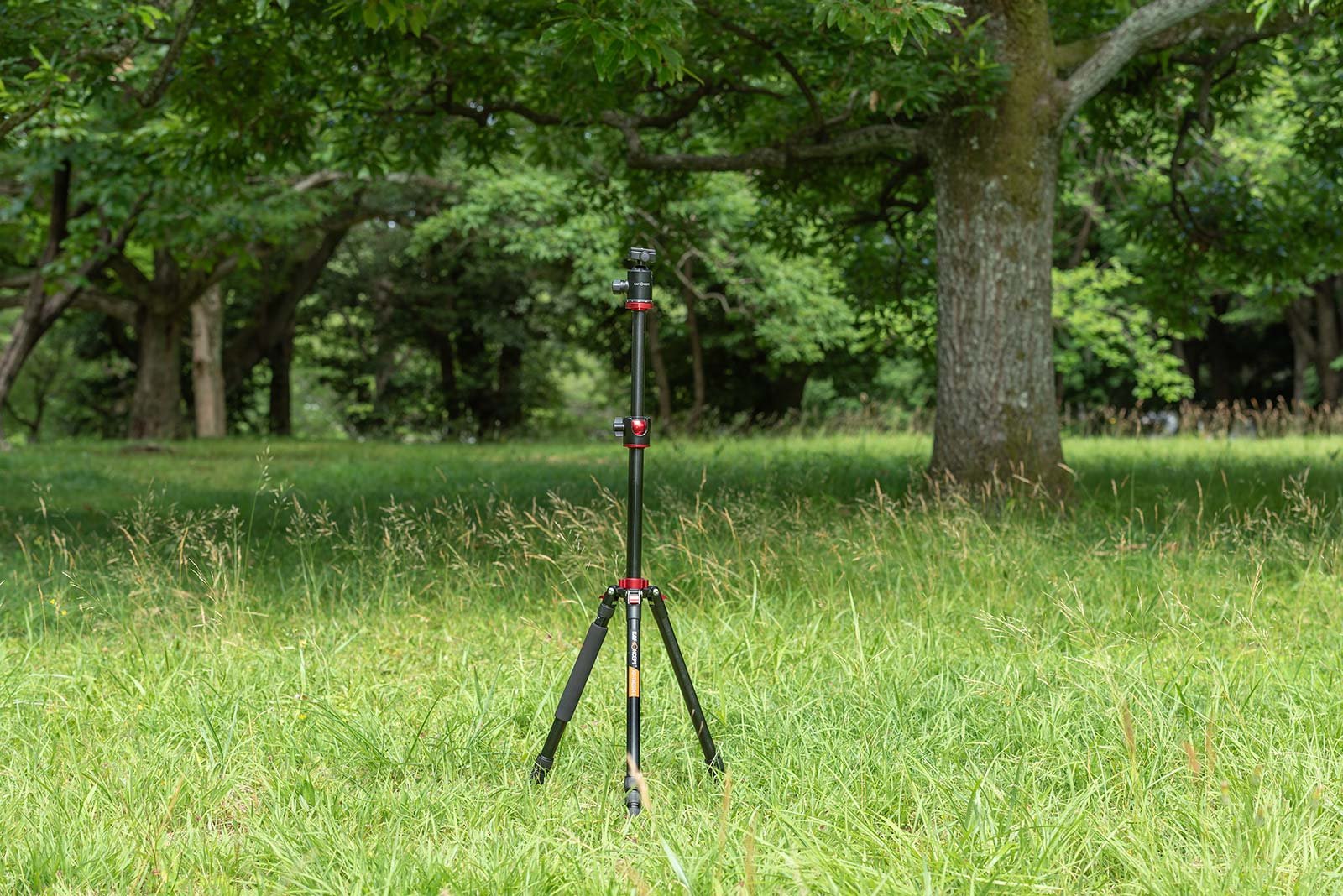K&F Concept travel tripod standing in a field in Japan